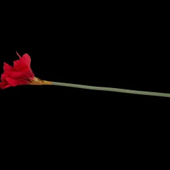 Kunstamaryllis op steel