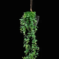 Kunsthangplant