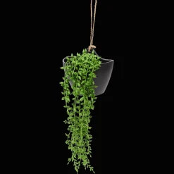 Kunsthangplant