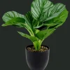 Kunstplant
