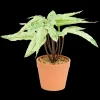 Kunstplant in pot