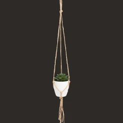 Kunst-vetplant in hangpotje