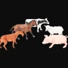 Mix van dieren