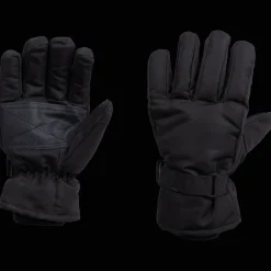 Thermolate skihandschoenen