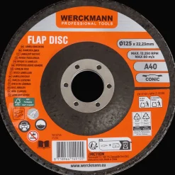 Werckmann lamellenschijf